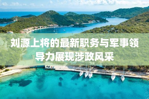 劉源上將的最新職務與軍事領導力展現(xiàn)涉政風采