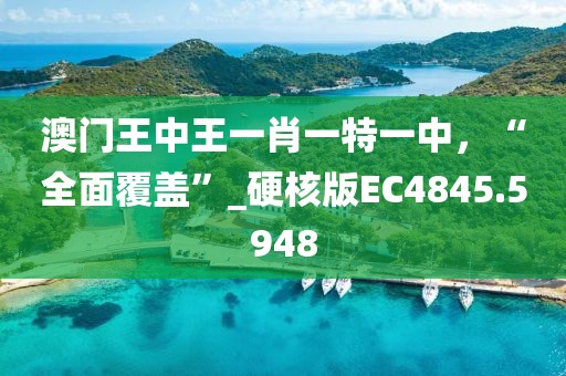 澳門王中王一肖一特一中，“全面覆蓋”_硬核版EC4845.5948