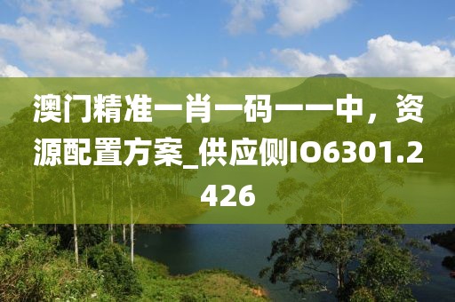 澳門精準(zhǔn)一肖一碼一一中，資源配置方案_供應(yīng)側(cè)IO6301.2426