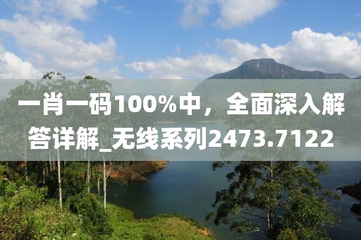 一肖一碼100%中，全面深入解答詳解_無(wú)線系列2473.7122