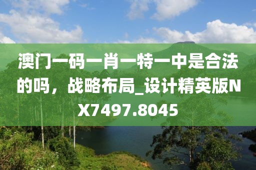 澳門一碼一肖一特一中是合法的嗎，戰(zhàn)略布局_設計精英版NX7497.8045