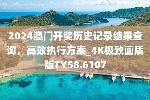 2024澳門開獎(jiǎng)歷史記錄結(jié)果查詢，高效執(zhí)行方案_4K極致畫質(zhì)版TY58.6107