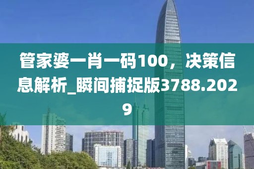 管家婆一肖一碼100，決策信息解析_瞬間捕捉版3788.2029