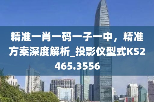 精準一肖一碼一子一中，精準方案深度解析_投影儀型式KS2465.3556