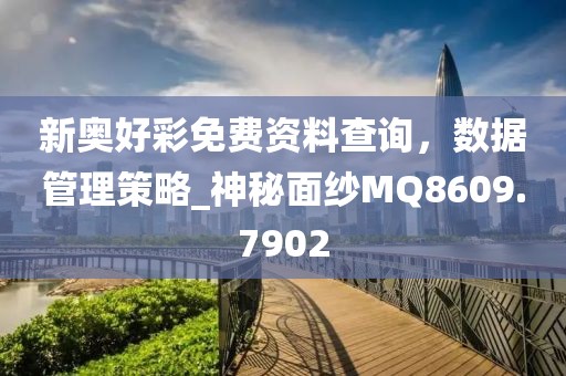 新奧好彩免費資料查詢，數(shù)據(jù)管理策略_神秘面紗MQ8609.7902