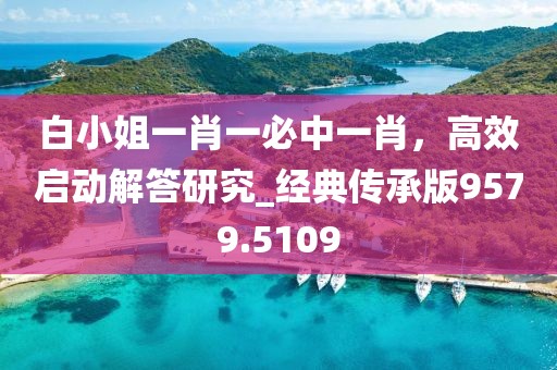 白小姐一肖一必中一肖，高效啟動解答研究_經典傳承版9579.5109