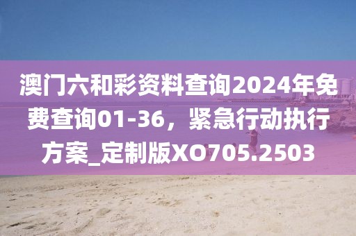 澳門六和彩資料查詢2024年免費查詢01-36，緊急行動執(zhí)行方案_定制版XO705.2503