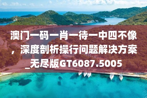 澳門一碼一肖一待一中四不像，深度剖析操行問題解決方案_無盡版GT6087.5005