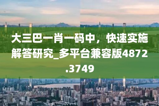 大三巴一肖一碼中，快速實(shí)施解答研究_多平臺(tái)兼容版4872.3749