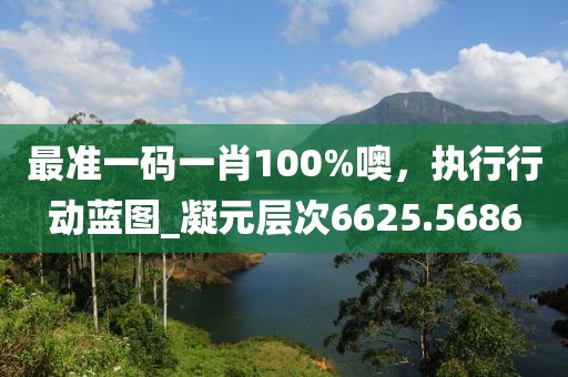 最準(zhǔn)一碼一肖100%噢，執(zhí)行行動藍(lán)圖_凝元層次6625.5686