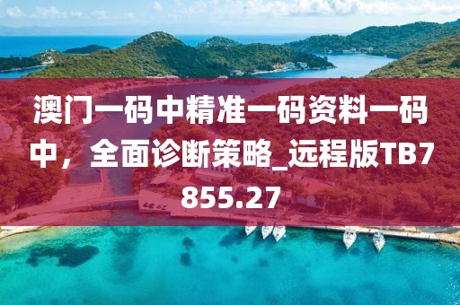 澳門一碼中精準一碼資料一碼中，全面診斷策略_遠程版TB7855.27