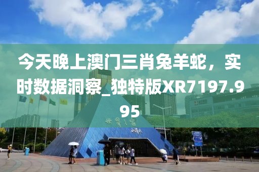 今天晚上澳門三肖兔羊蛇，實(shí)時(shí)數(shù)據(jù)洞察_獨(dú)特版XR7197.995