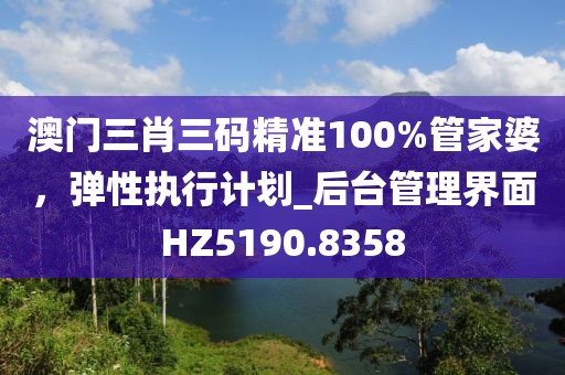 澳門三肖三碼精準100%管家婆，彈性執(zhí)行計劃_后臺管理界面HZ5190.8358