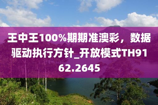 王中王100%期期準澳彩，數(shù)據(jù)驅(qū)動執(zhí)行方針_開放模式TH9162.2645