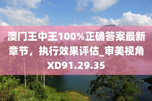 澳門王中王100%正確答案最新章節(jié)，執(zhí)行效果評估_審美視角XD91.29.35