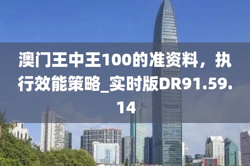 澳門王中王100的準資料，執(zhí)行效能策略_實時版DR91.59.14