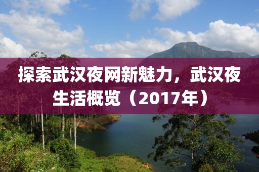 探索武漢夜網(wǎng)新魅力，武漢夜生活概覽（2017年）