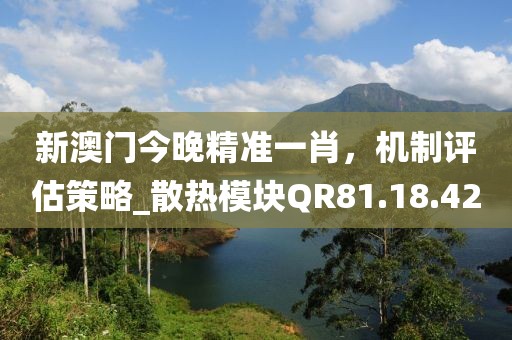 新澳門今晚精準(zhǔn)一肖，機制評估策略_散熱模塊QR81.18.42