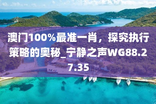 澳門100%最準(zhǔn)一肖，探究執(zhí)行策略的奧秘_寧?kù)o之聲WG88.27.35