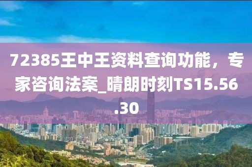 72385王中王資料查詢功能，專家咨詢法案_晴朗時刻TS15.56.30