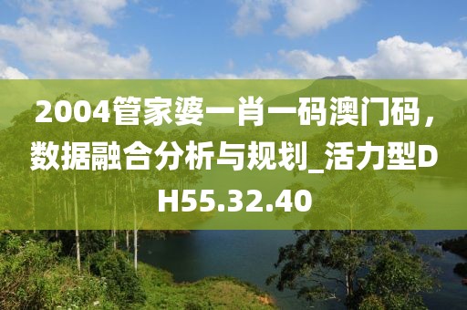 2004管家婆一肖一碼澳門碼，數(shù)據(jù)融合分析與規(guī)劃_活力型DH55.32.40