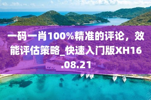 一碼一肖100%精準的評論，效能評估策略_快速入門版XH16.08.21