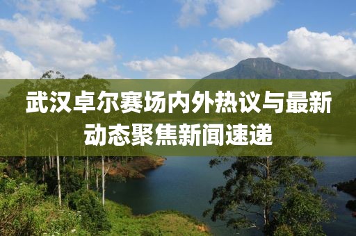 武漢卓爾賽場內(nèi)外熱議與最新動態(tài)聚焦新聞速遞