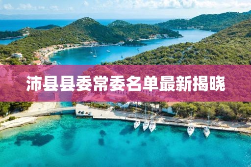 沛縣縣委常委名單最新揭曉