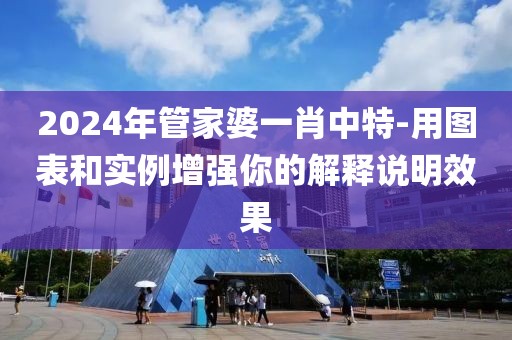 2024年管家婆一肖中特-用圖表和實(shí)例增強(qiáng)你的解釋說明效果