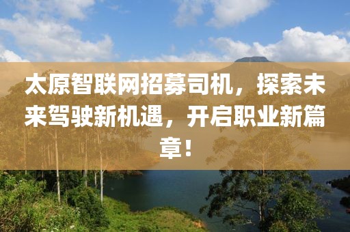 太原智聯(lián)網(wǎng)招募司機，探索未來駕駛新機遇，開啟職業(yè)新篇章！