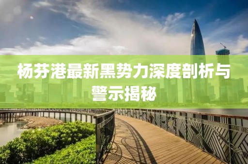 楊芬港最新黑勢(shì)力深度剖析與警示揭秘