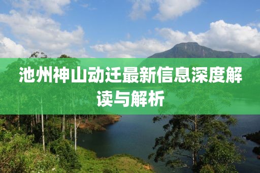 池州神山動(dòng)遷最新信息深度解讀與解析