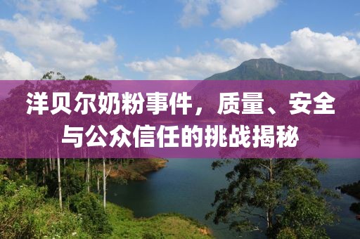 洋貝爾奶粉事件，質(zhì)量、安全與公眾信任的挑戰(zhàn)揭秘