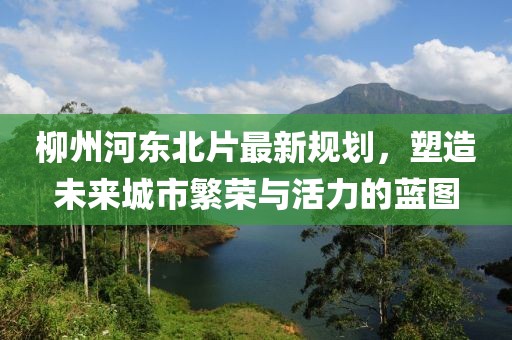 柳州河東北片最新規(guī)劃，塑造未來城市繁榮與活力的藍圖