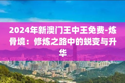 2024年新澳門王中王免費-煉骨境：修煉之路中的蛻變與升華