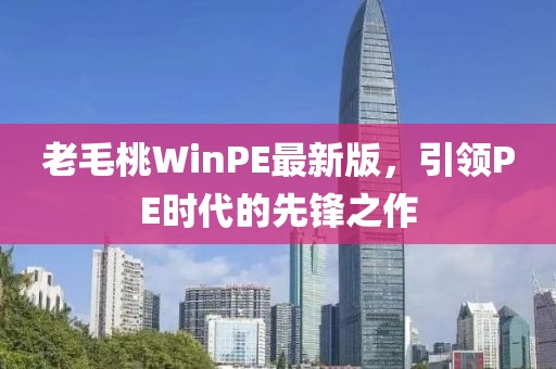 老毛桃WinPE最新版，引領(lǐng)PE時代的先鋒之作