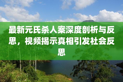 最新元氏殺人案深度剖析與反思，視頻揭示真相引發(fā)社會反思