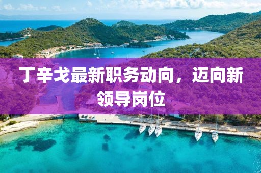 丁辛戈最新職務動向，邁向新領導崗位