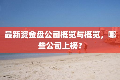 最新資金盤公司概覽與概覽，哪些公司上榜？