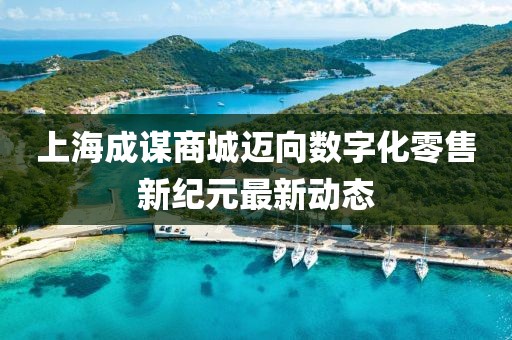 上海成謀商城邁向數(shù)字化零售新紀元最新動態(tài)