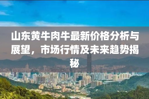 山東黃牛肉牛最新價格分析與展望，市場行情及未來趨勢揭秘