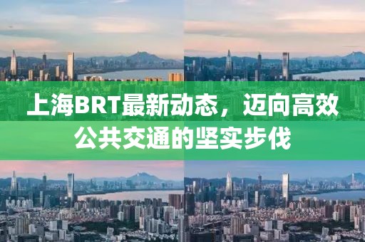 上海BRT最新動(dòng)態(tài)，邁向高效公共交通的堅(jiān)實(shí)步伐