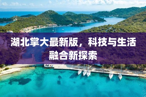 湖北掌大最新版，科技與生活融合新探索