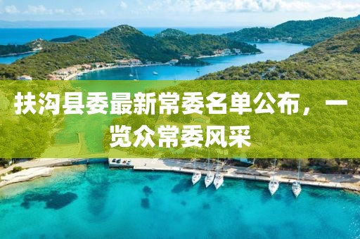 扶溝縣委最新常委名單公布，一覽眾常委風(fēng)采