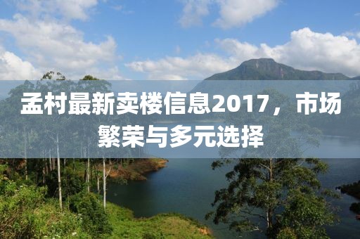 孟村最新賣樓信息2017，市場繁榮與多元選擇