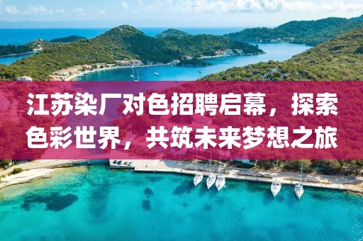 江蘇染廠對色招聘啟幕，探索色彩世界，共筑未來夢想之旅