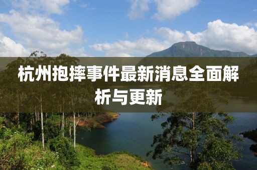 杭州抱摔事件最新消息全面解析與更新