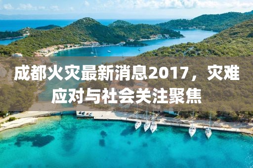 成都火災(zāi)最新消息2017，災(zāi)難應(yīng)對(duì)與社會(huì)關(guān)注聚焦