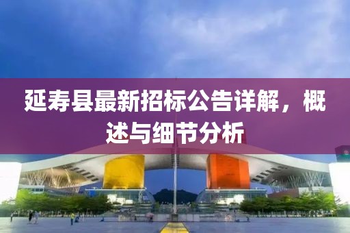 延壽縣最新招標公告詳解，概述與細節(jié)分析