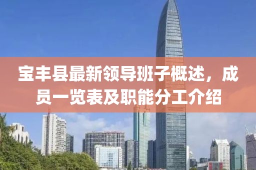 寶豐縣最新領導班子概述，成員一覽表及職能分工介紹